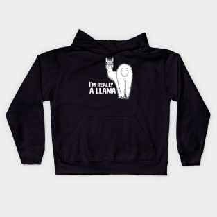 Cool Gangster LLama Glasses Kids Hoodie